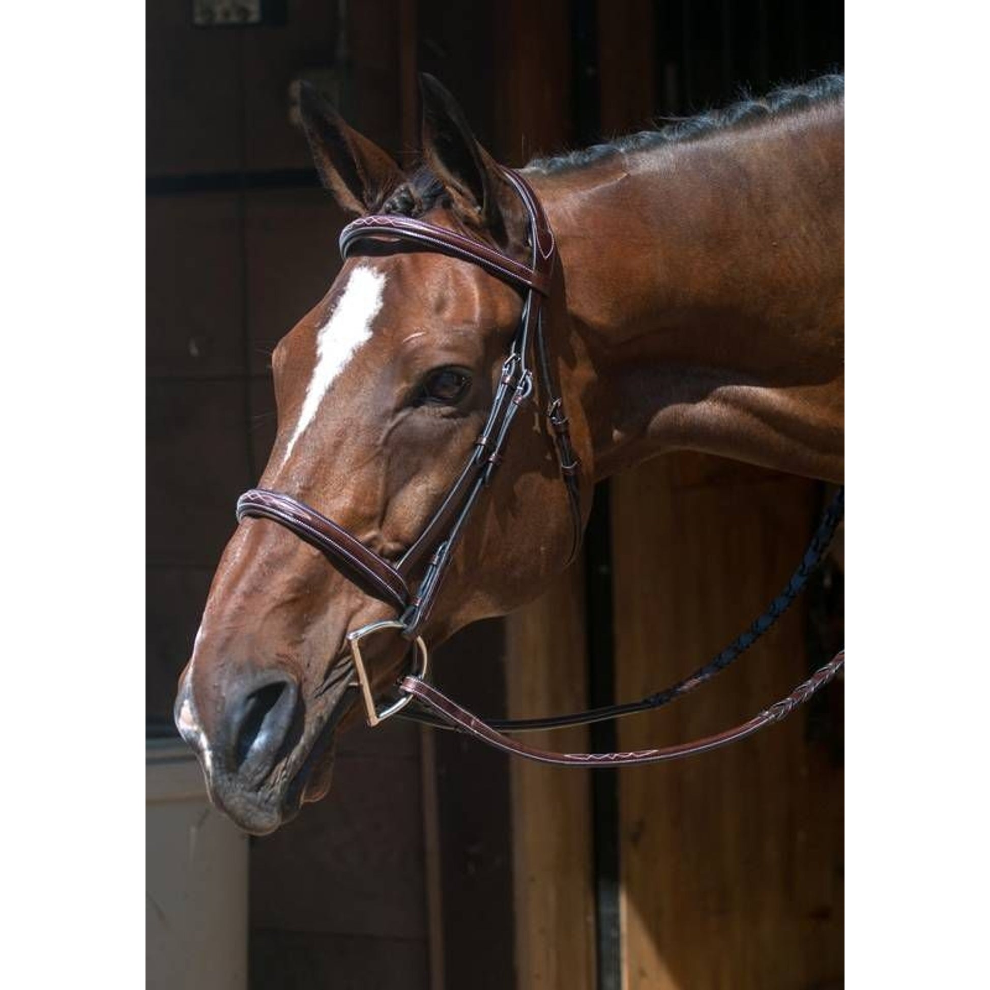 Nunn Finer Florence Bridle Cob Havana