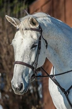 Nunn Finer Florence Bridle Cob Havana