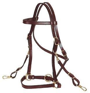 Circle Y Trail Halter/Headstall Horse Brn