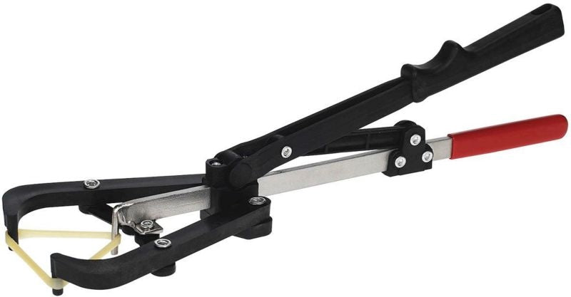 Tri-Band Bander– Horse.com