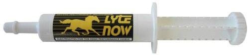 SmartEquine Lyte Now Electrolytes Paste