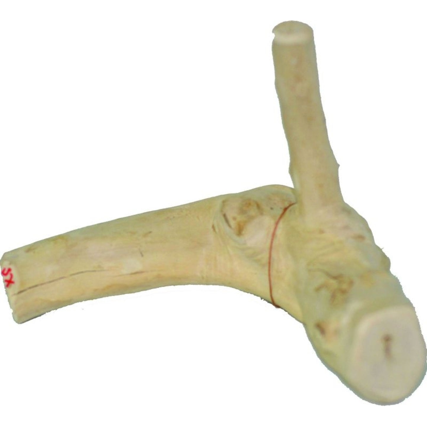 TH1320794.jpg
