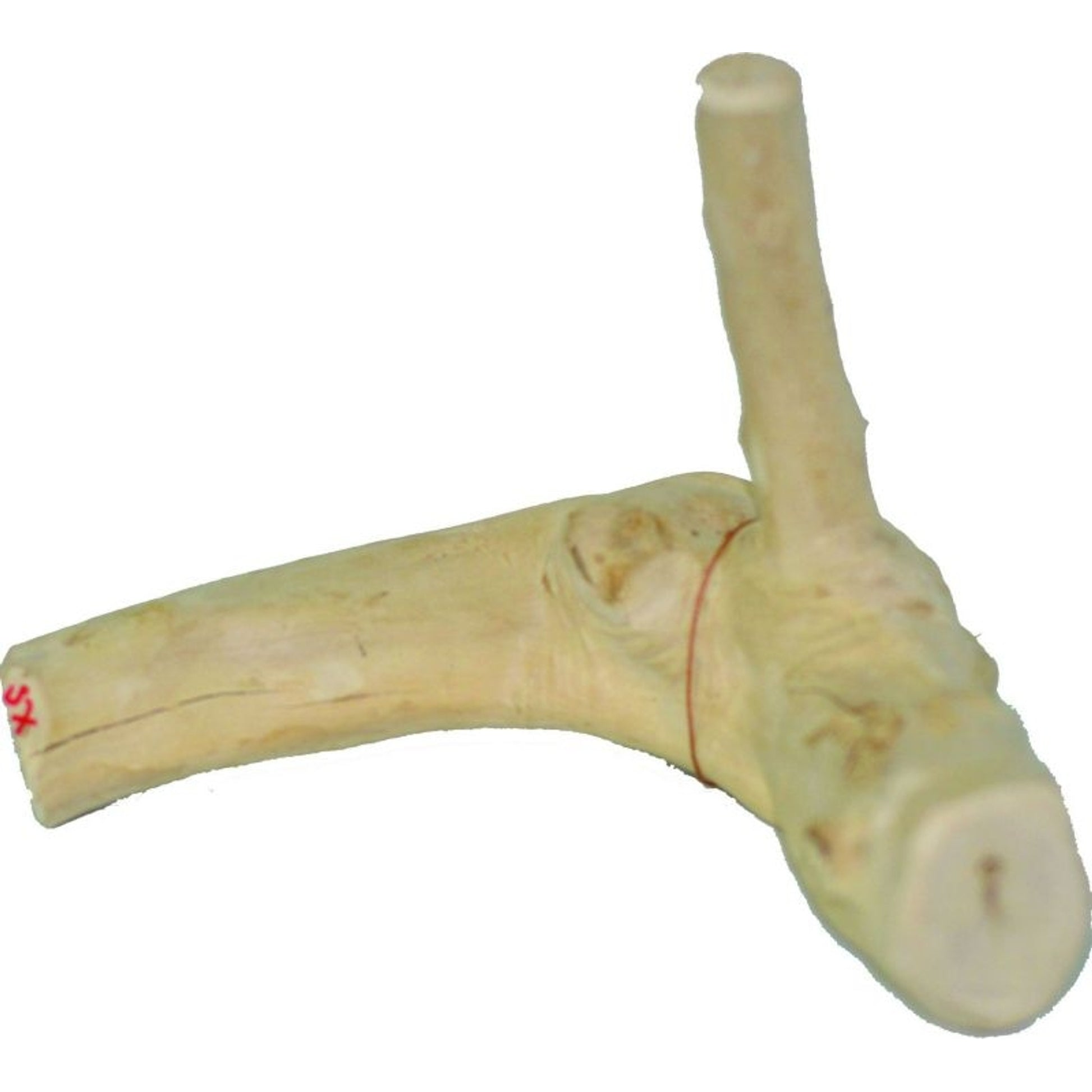 Java Wood Reptile Branch Extra Small Natural