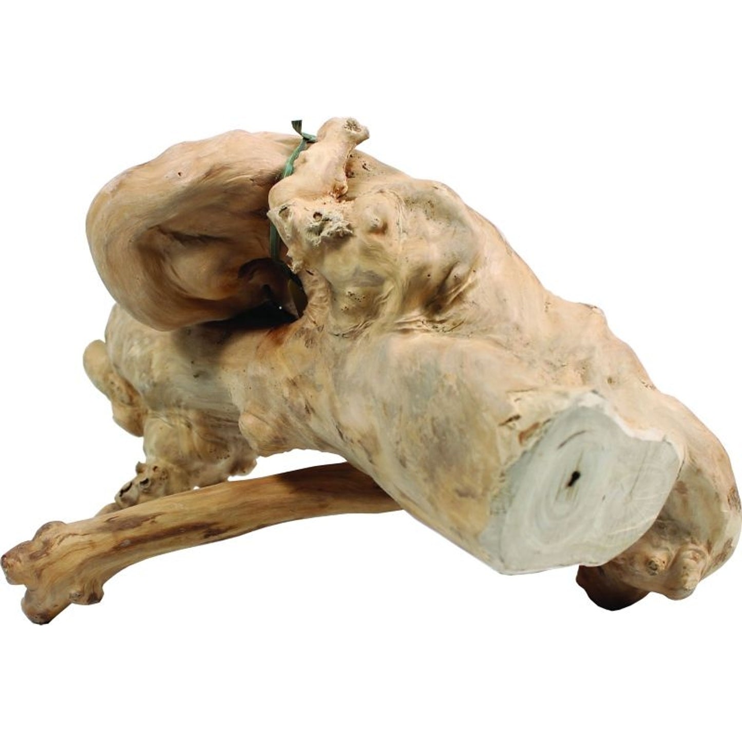TH1320795.jpg