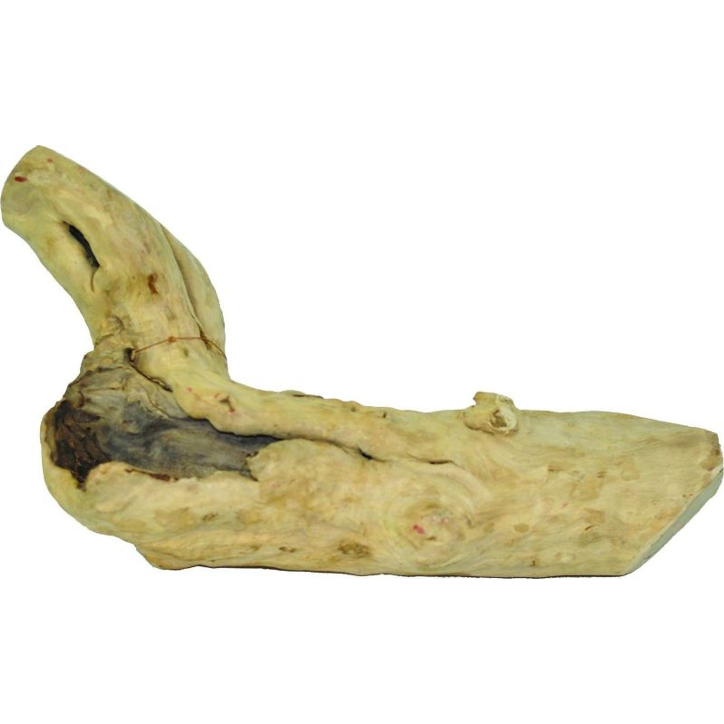 TH1320796.jpg