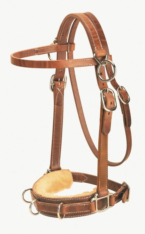 Tory Lthr Heavy Duty Harness Lthr Lunge Caveson