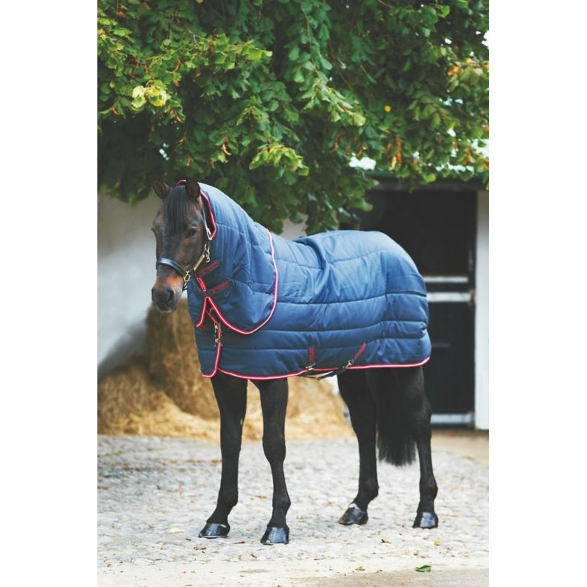 Vari-Layer Plus Stable Blanket - Medium 87 Nvy/Red