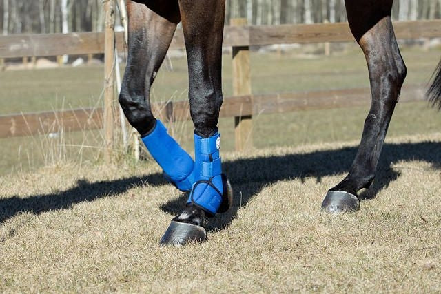 Horze Supreme Brushing Boots Small Blue