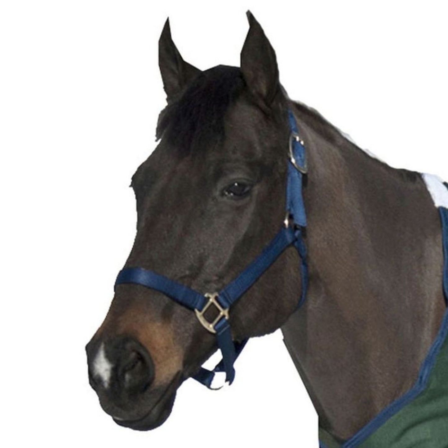 TH1359935.jpg