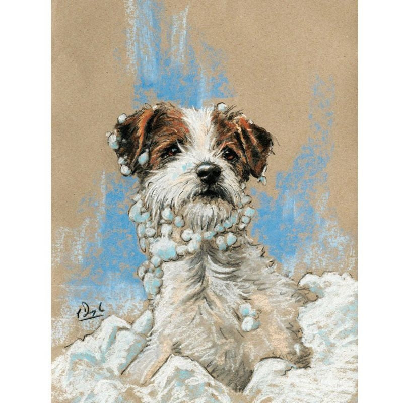 Christmas Cards - Snowbeard - 10 Pack