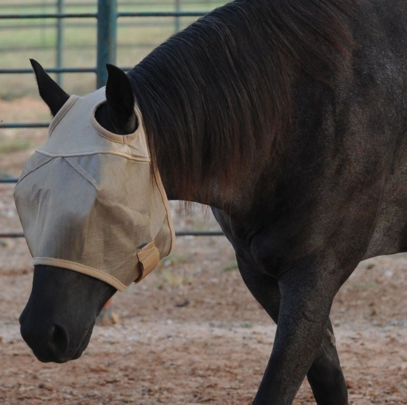 Cashel Econo Fly Mask Arab Small Horse Gold
