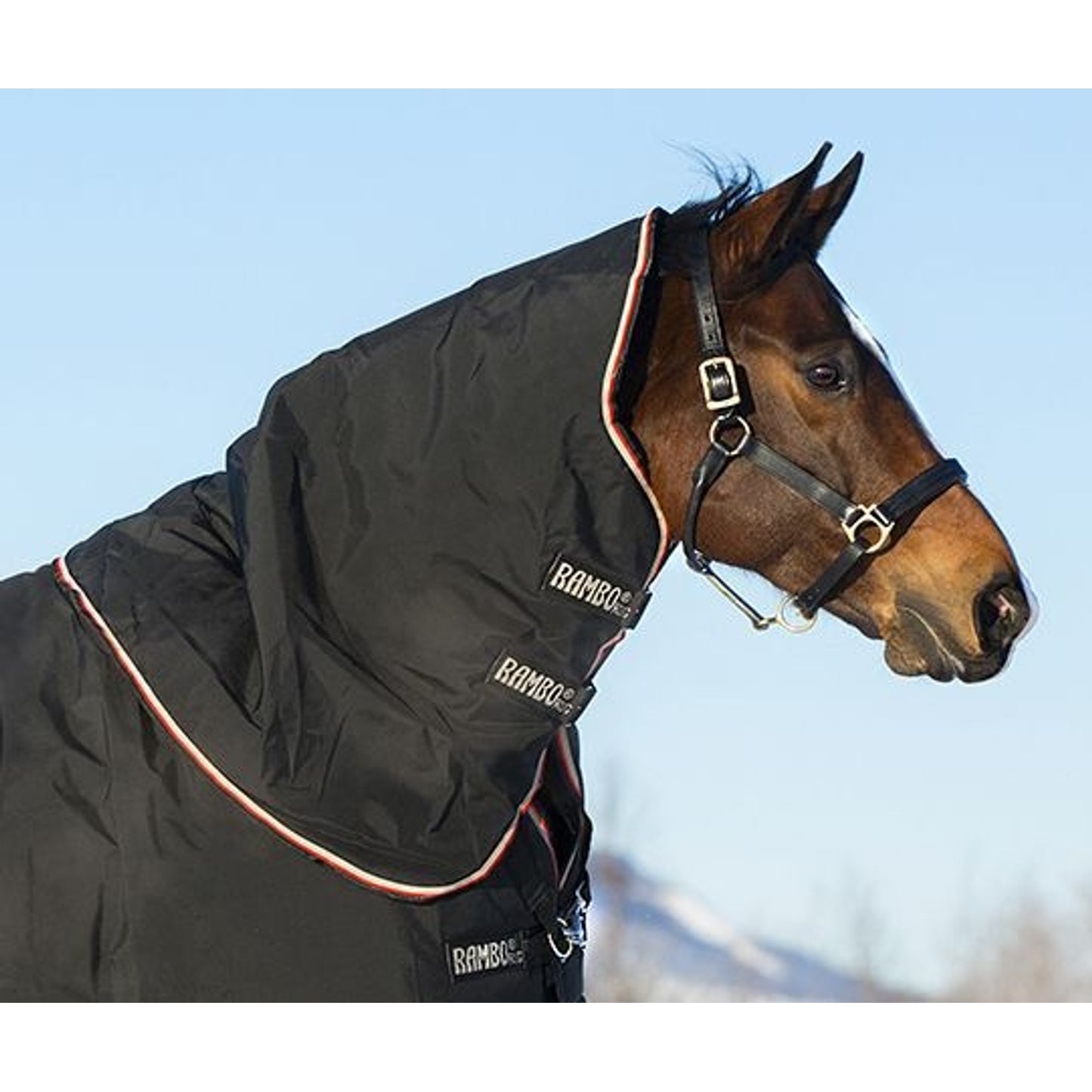 TH1407931.jpg