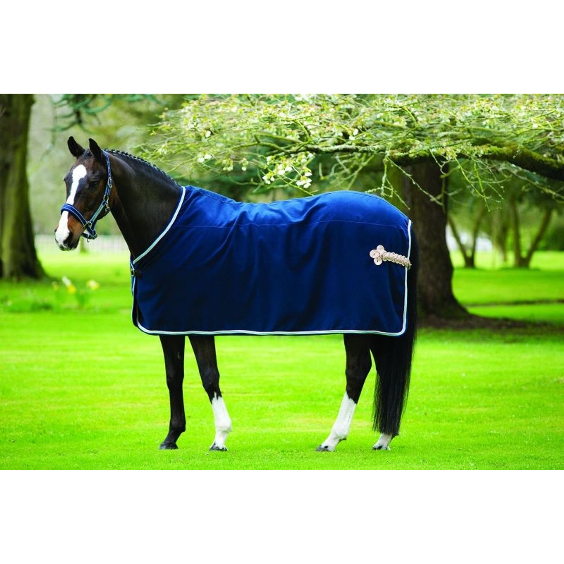 Rambo Show Blanket