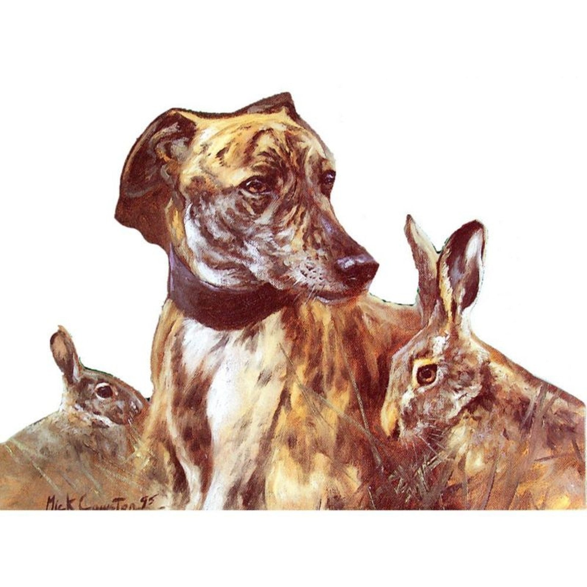 Dogs - Dignity Greyhound - 6 pack