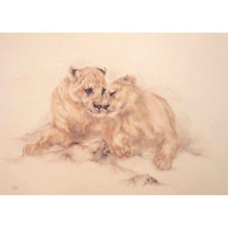 Greeting Cards - Brotherly Love Lions - 6 pack