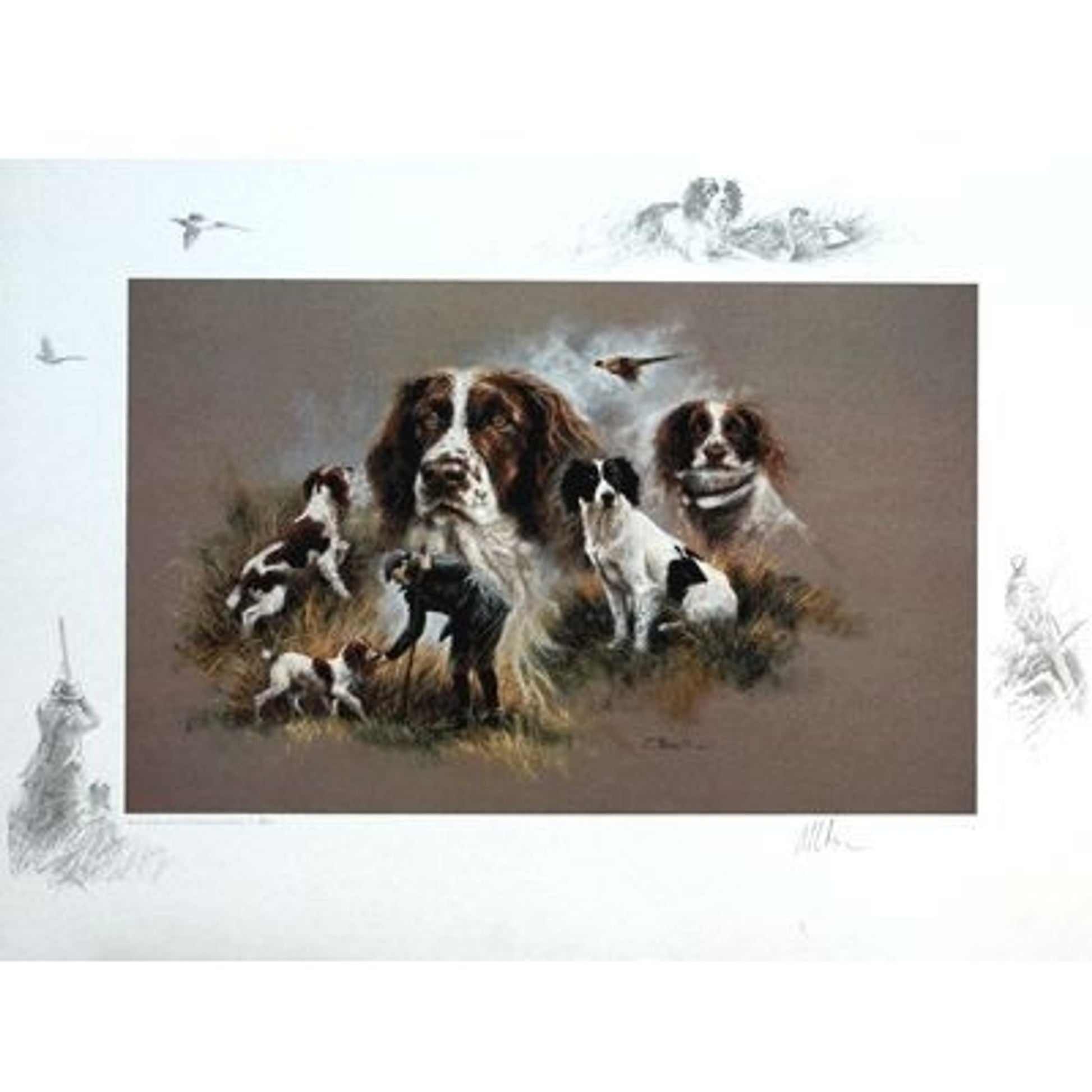 Sally Mitchell Fine Art Springer Spaniel