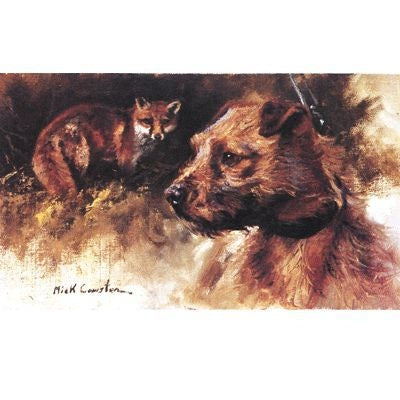 Sally Mitchell Fine Art Border Terrier