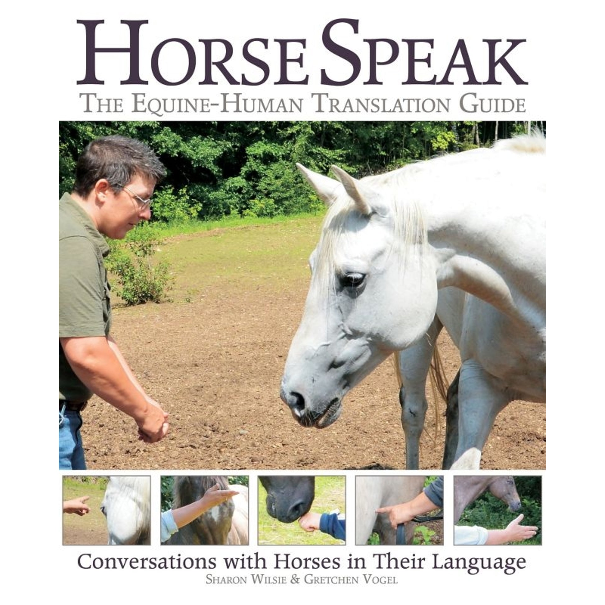 Horse Speak The Equine Human Translation Guide
