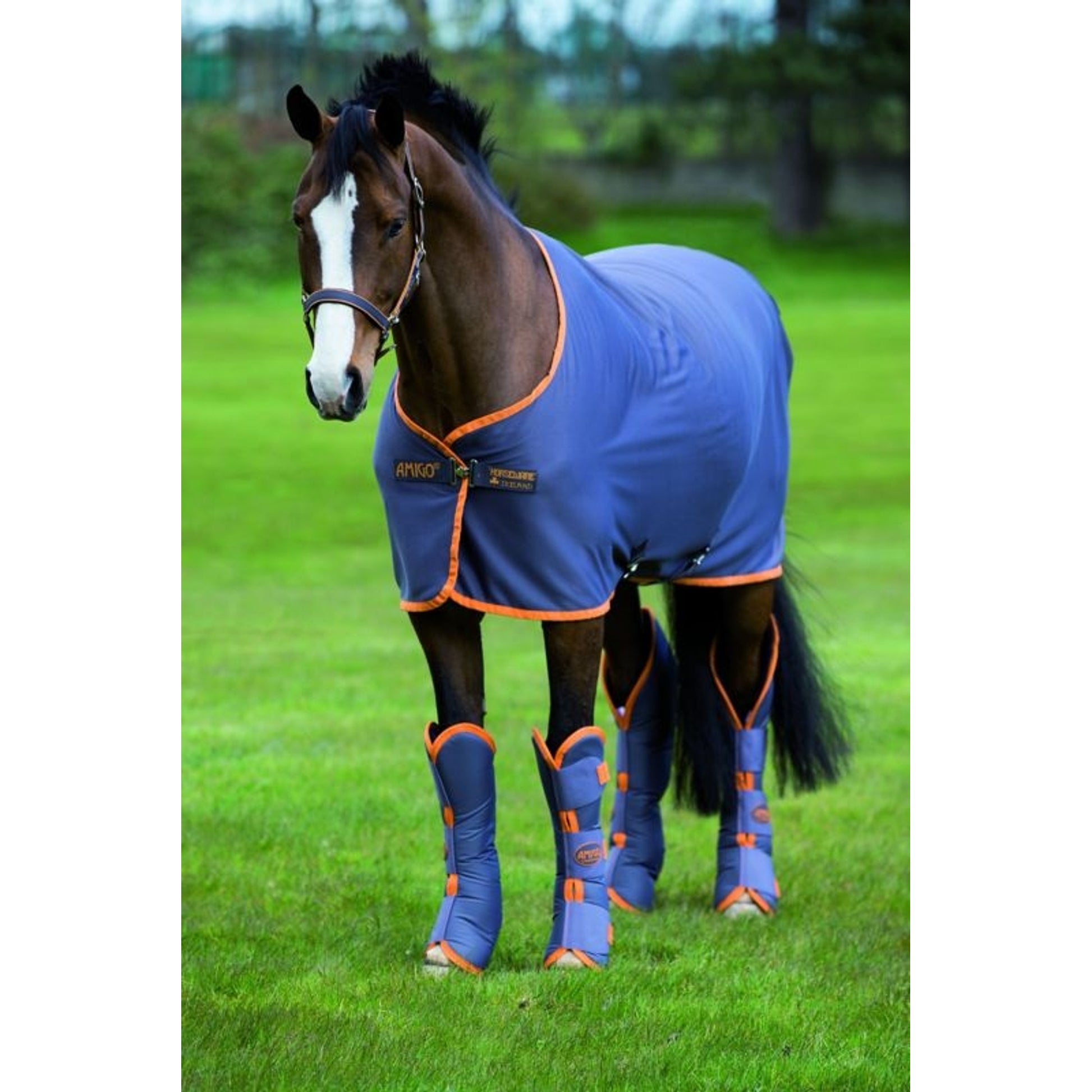 Amigo Pony Jersey Cooler