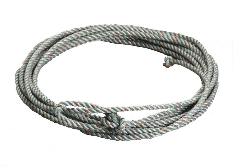 Colorado Saddlery Kids Silver Dot Lariat 5/16 x 25
