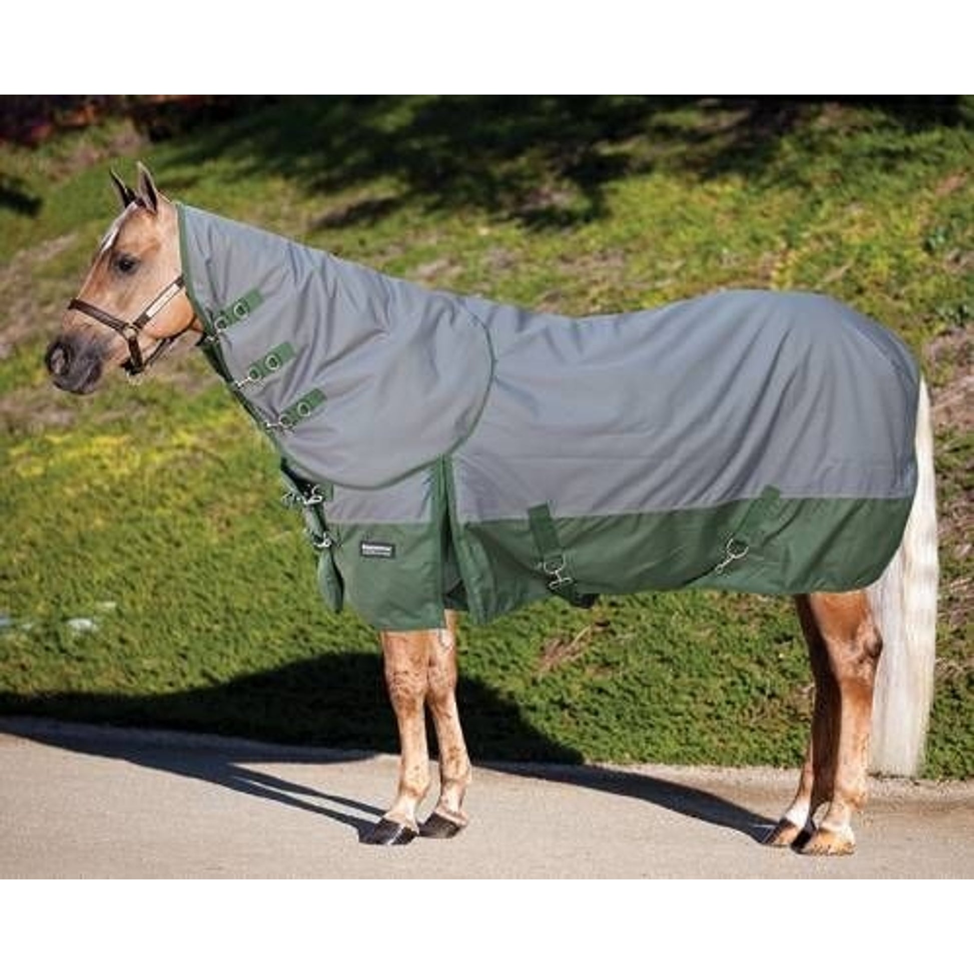 Professionals Choice EQ 600D Neck Rug Char/Olive