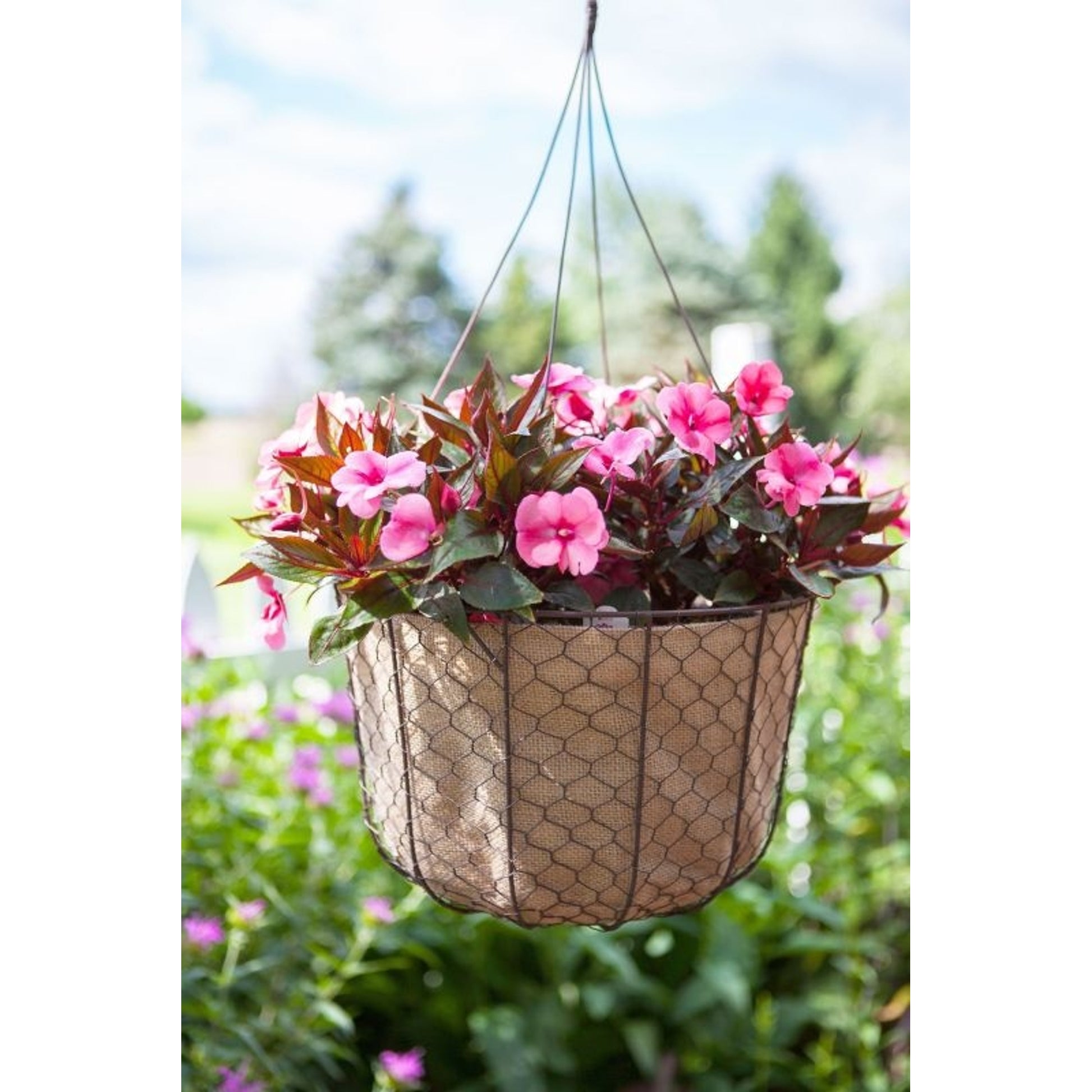 Rustic Hang Basket Wire Hanger 12in Rust Burlap