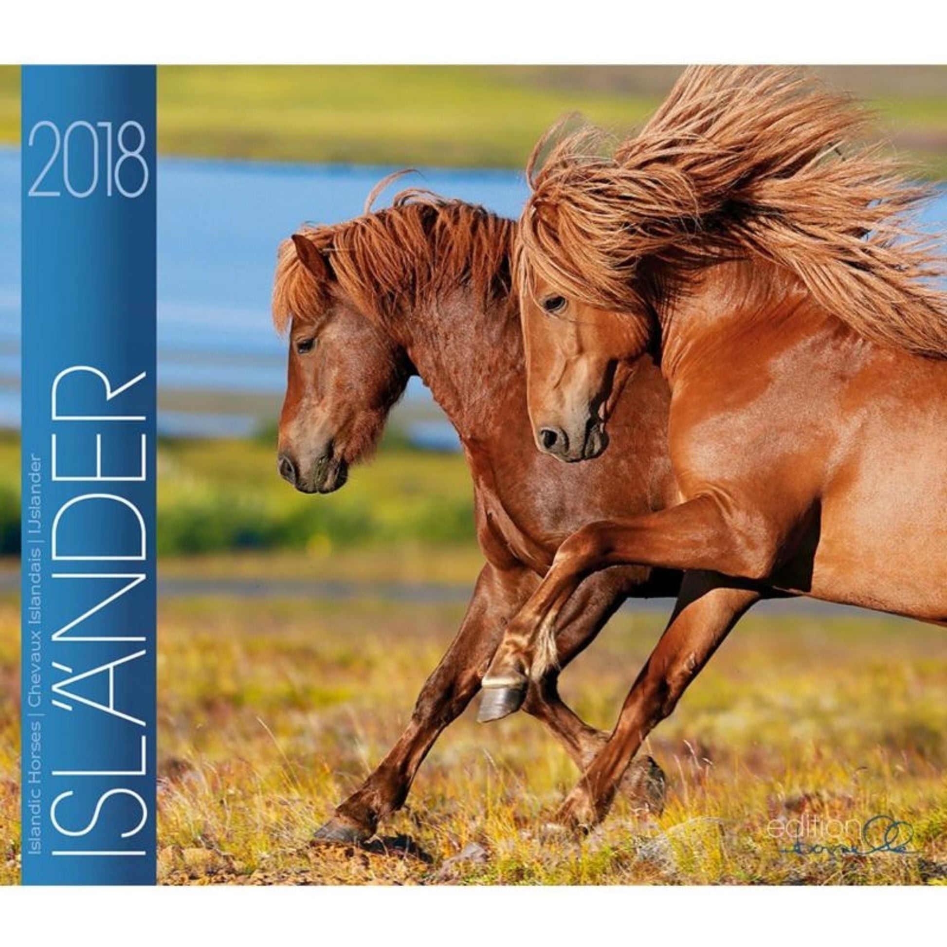 Gabriele Boiselle Mid Size Calendar Icelandic 2018