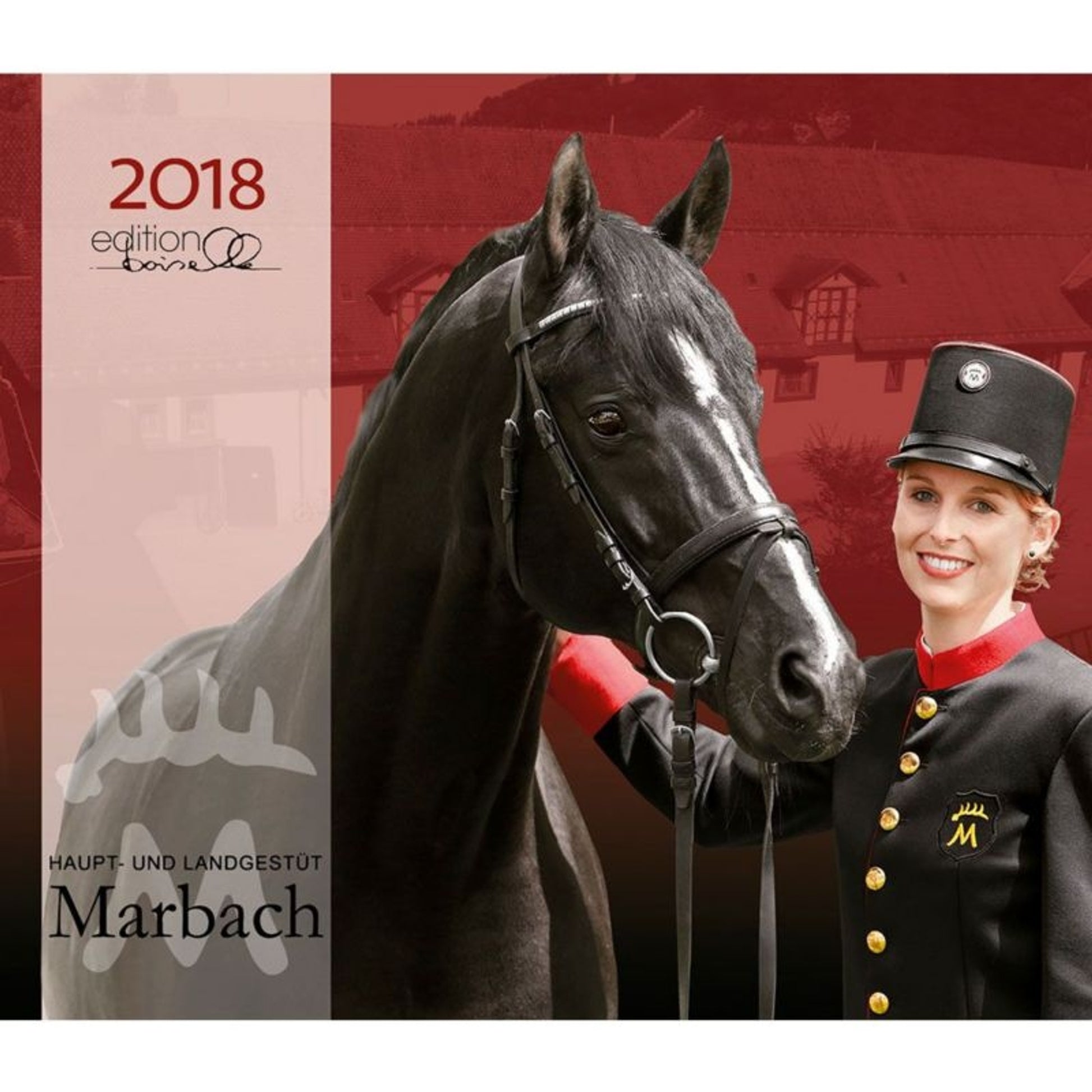 Gabriele Boiselle Mid Size Calendar Marbach 2018