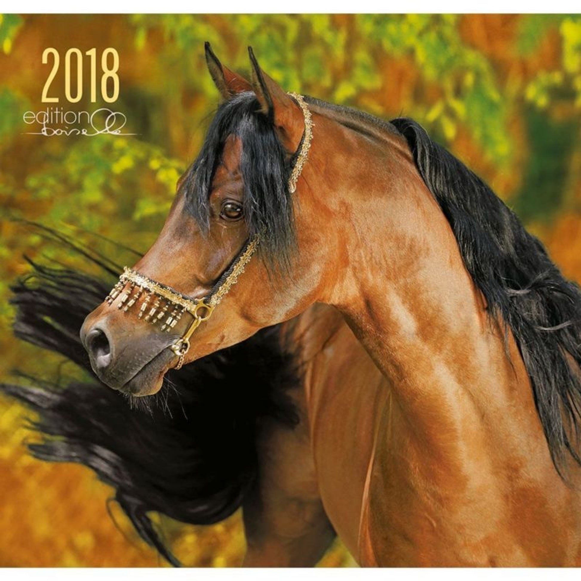 Gabriele Boiselle Art Calendar Fascination 2018