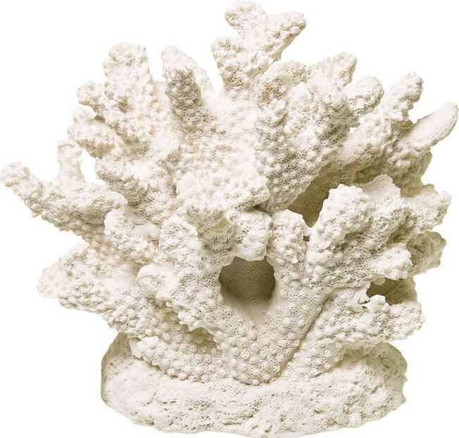 Branch Coral Centerpiece Small White