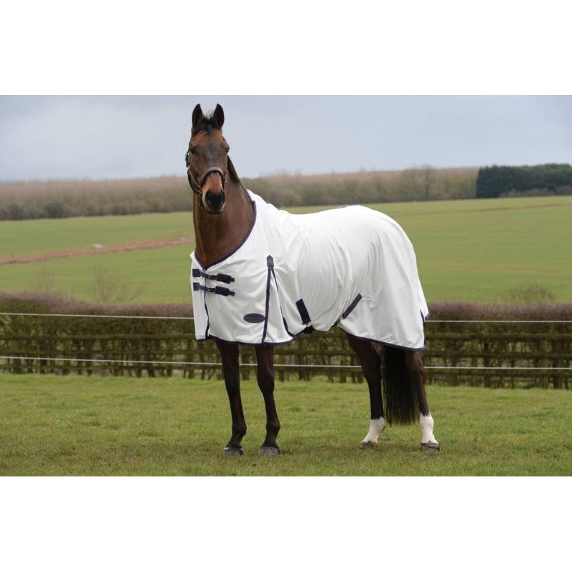 Weatherbeeta Comfitec Essential Mesh II Standard Neck