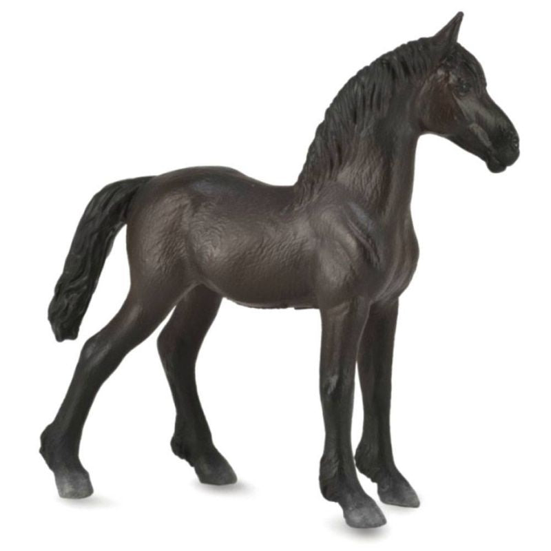Corral Pals Friesian Foal