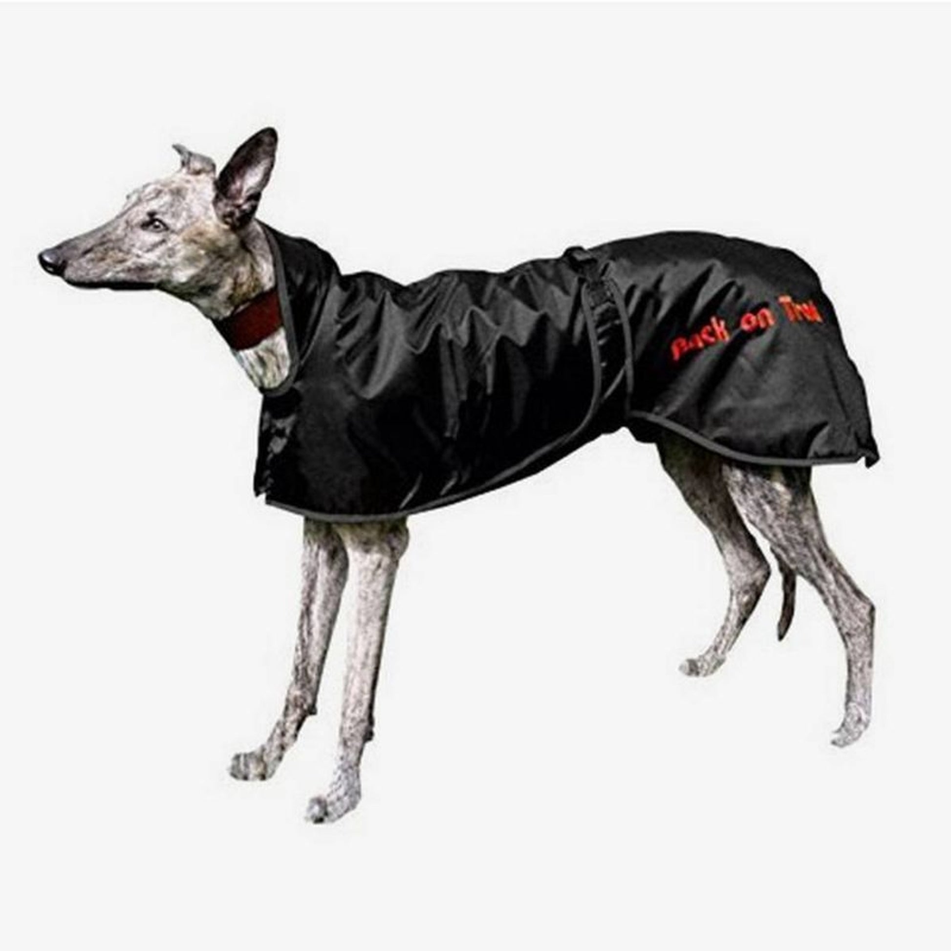 Back On Track Dog Rug 21-33 25 BL