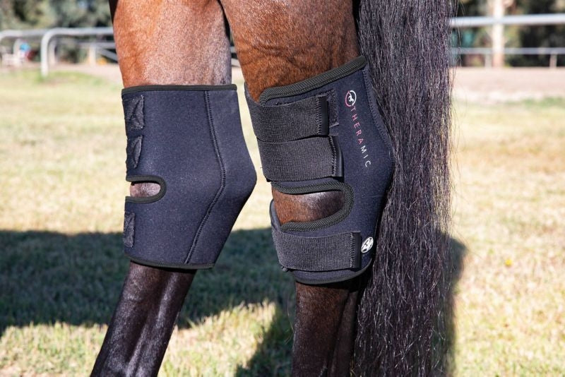 Professionals Choice Theramic Hock Boots