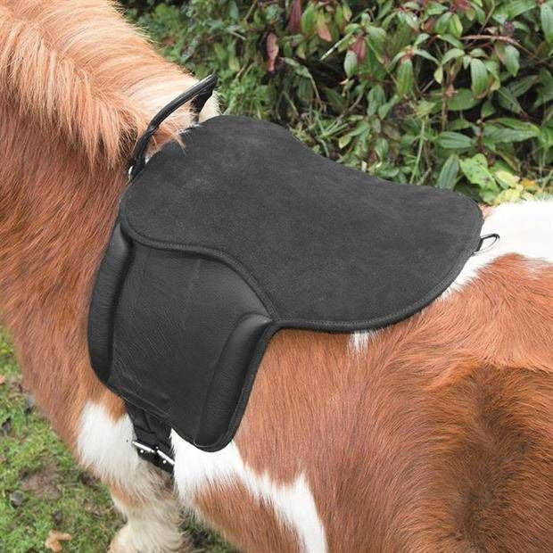 Shires Aviemore Pony Pad