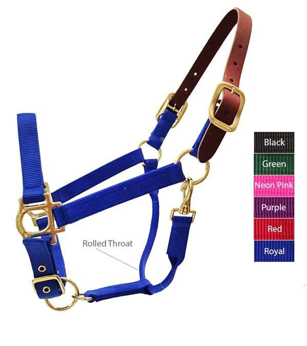 Valhoma Breakaway Halter Medium (800-1000 lbs) Gre