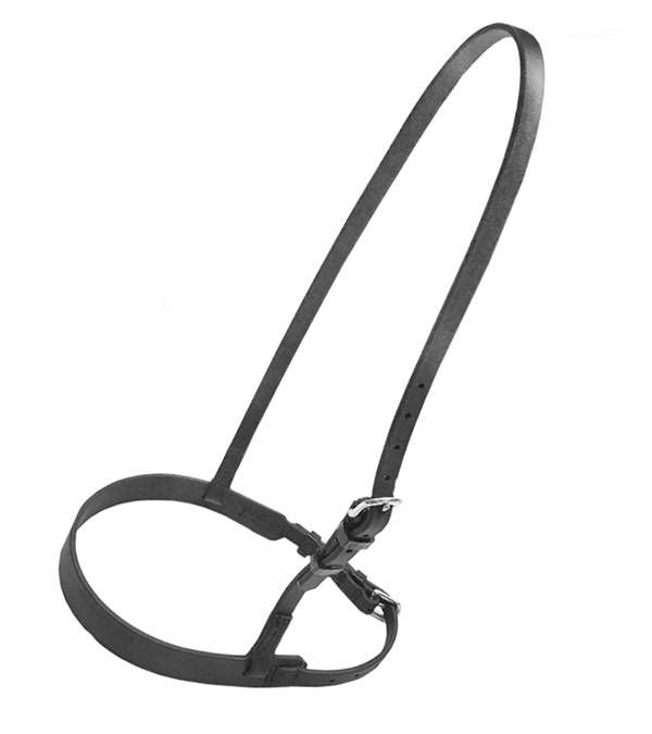 Jacks Beta Training Caveson Arab/Small Black