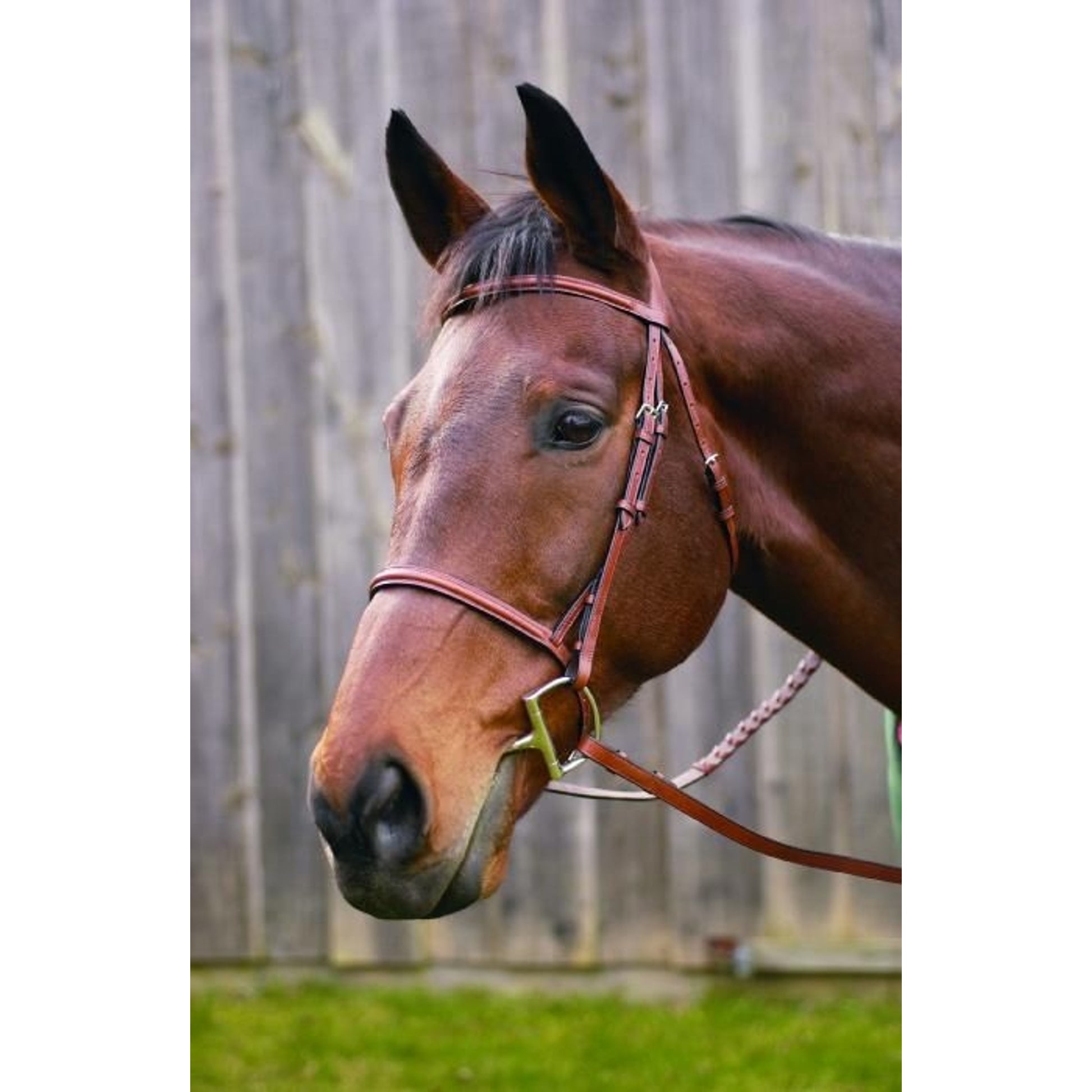 HDR Advantage Raised Snaffle Bridle