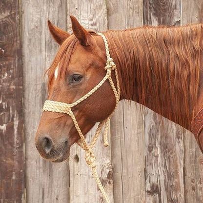Classic Equine Braided Rope Halter Wide Nose with Le