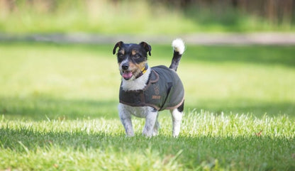 Shires Digby/Fox Wax Coat
