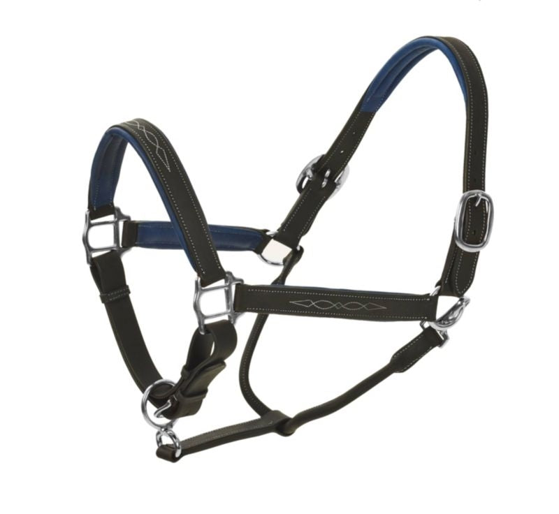 Ovation Richtan Luxury Padded Halter Horse Black/B