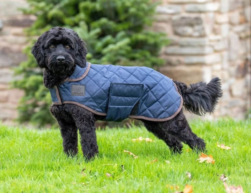 Shires Digby Fox Quilted Dog Coat
