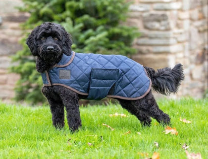 Shires Digby Fox Quilted Dog Coat