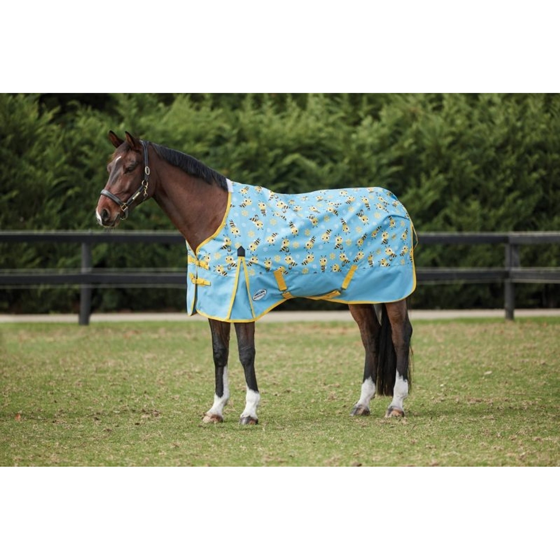 Weatherbeeta ComFiTec Essential Standard Neck Lite