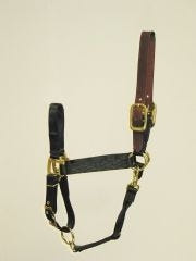 Adjustable Halter with Leather Crown Yearling Blk