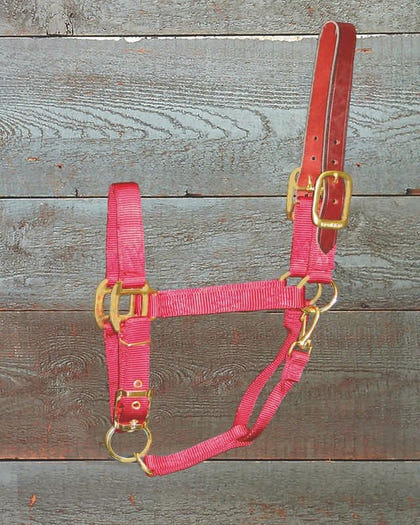 Adjustable Halter with Leather Crown Yearling Blk