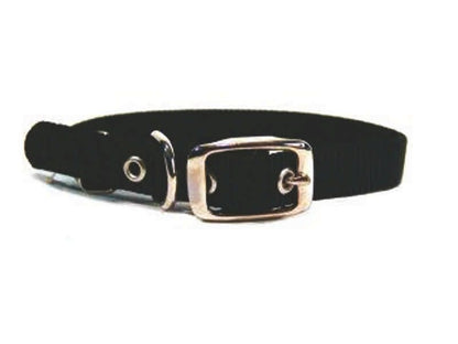 Single Nylon Dog Collar 2x0.25x0.25 Black