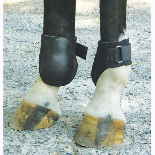 Neoprene Fetlock Boot Large Blk