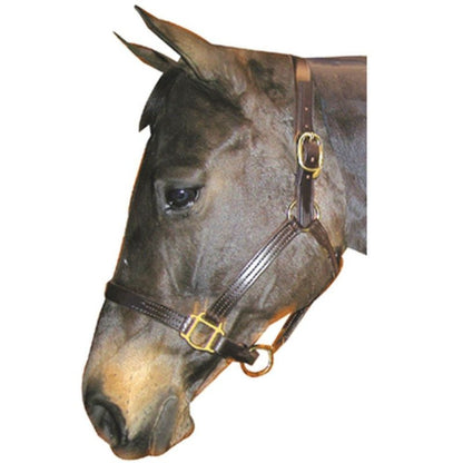 Leather Track 1 Halter