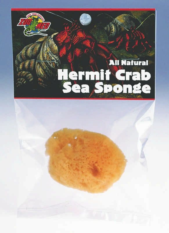 Sea Sponge For Hermit Crabs 0.75 x 1 x 0.25 Yellow